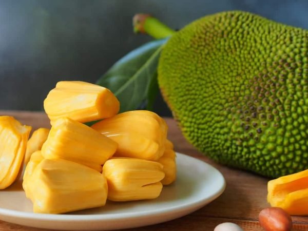 The Fruit Jackfruit Is Beneficial And Nutritious