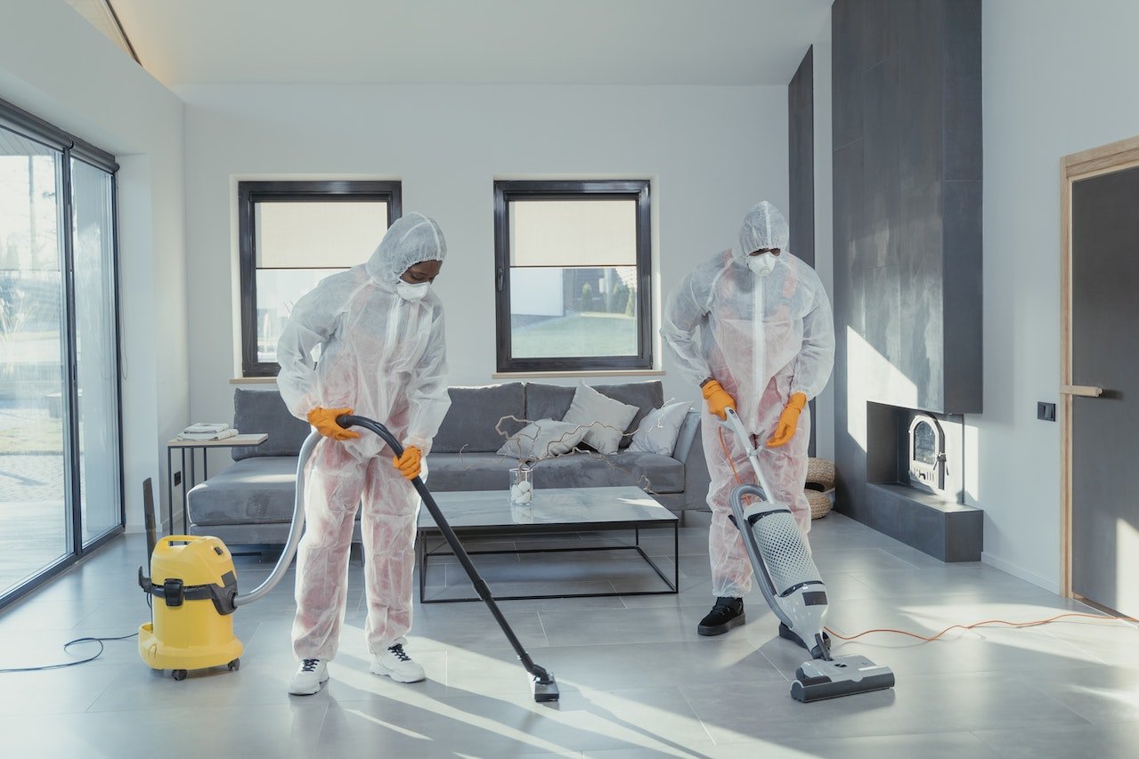 Why You Can’t Ignore Carpet Cleaning Services